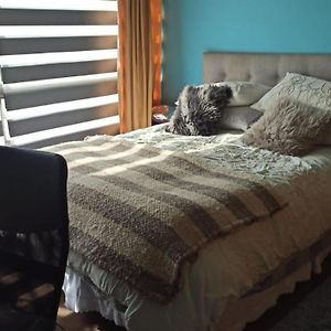 Habitación con Cama King